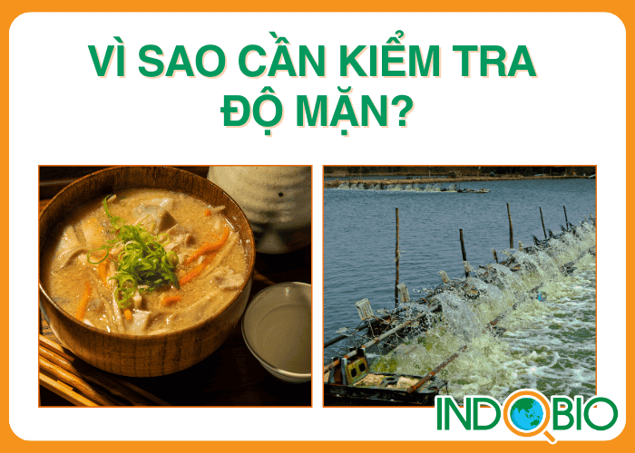 Vì sao cần kiểm tra độ mặn?